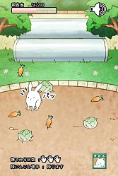 画像ギャラリー No.004のサムネイル画像 / ウサギを進化させる育成SLG「これはうさぎですか?」スマホ向けに配信開始