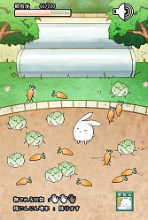 画像ギャラリー No.008のサムネイル画像 / ウサギを進化させる育成SLG「これはうさぎですか?」スマホ向けに配信開始