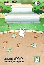 画像ギャラリー No.011のサムネイル画像 / ウサギを進化させる育成SLG「これはうさぎですか?」スマホ向けに配信開始