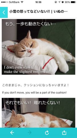 画像ギャラリー No.005のサムネイル画像 / 「ぐるぐるダンジョン のぶニャが」がアプリ「ねこのきもち」とコラボ