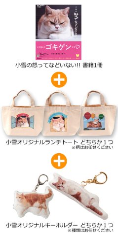 画像ギャラリー No.006のサムネイル画像 / 「ぐるぐるダンジョン のぶニャが」がアプリ「ねこのきもち」とコラボ