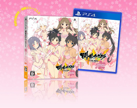 画像ギャラリー No.008のサムネイル画像 / PS Vita「ルミナスアーク インフィニティ」とPS4「閃乱カグラ ESTIVAL VERSUS」のお得なパックが,それぞれ3月10日,17日に発売