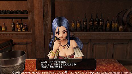 画像ギャラリー No.015のサムネイル画像 / 「ドラゴンクエストヒーローズ」，冒険の拠点の一つ「空艦バトシエ」が公開。錬金釜からルイーダの酒場までを備えた空の拠点
