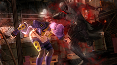 画像ギャラリー No.005のサムネイル画像 / 「DEAD OR ALIVE 5 Last Round」，サイボーグとして蘇った「雷道」の参戦が決定。初回特典に関する情報も紹介