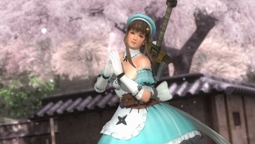 画像ギャラリー No.005のサムネイル画像 / 「DEAD OR ALIVE 5 Last Round」の「閃乱カグラ」コラボコスが配信スタート。格闘シーンと衣装の破れぶりを確認できる紹介ムービーも公開