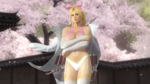 画像ギャラリー No.007のサムネイル画像 / 「DEAD OR ALIVE 5 Last Round」の「閃乱カグラ」コラボコスが配信スタート。格闘シーンと衣装の破れぶりを確認できる紹介ムービーも公開