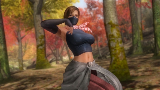 画像ギャラリー No.008のサムネイル画像 / 「DEAD OR ALIVE 5 Last Round」の「閃乱カグラ」コラボコスが配信スタート。格闘シーンと衣装の破れぶりを確認できる紹介ムービーも公開