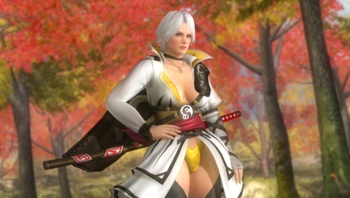 画像ギャラリー No.010のサムネイル画像 / 「DEAD OR ALIVE 5 Last Round」の「閃乱カグラ」コラボコスが配信スタート。格闘シーンと衣装の破れぶりを確認できる紹介ムービーも公開