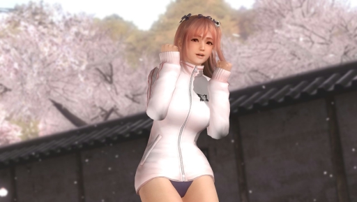 画像ギャラリー No.016のサムネイル画像 / 「DEAD OR ALIVE 5 Last Round」の「閃乱カグラ」コラボコスが配信スタート。格闘シーンと衣装の破れぶりを確認できる紹介ムービーも公開