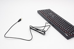 画像ギャラリー No.012のサムネイル画像 / 元DHARMAPOINTのデザイナーが放つゲーマー向けパンタグラフ式キーボード ,そのデキは? 「BFKB113PBK」を使ってみた