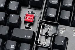 画像ギャラリー No.011のサムネイル画像 / 10キーレスのメンブレンキーボード「BFKB92UP2」レビュー。キーの安定感に優れ,ゲームにも普段使いにも使える一品だ