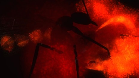 画像ギャラリー No.011のサムネイル画像 / 「地球防衛軍4.1 THE SHADOW OF NEW DESPAIR」，閲覧注意レベルの“敵巨大生物”が大量公開。そのおそろしさを確認できるPV第2弾も