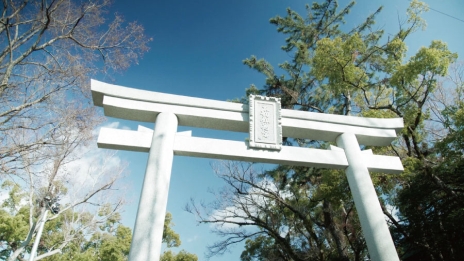 画像ギャラリー No.005のサムネイル画像 / 「刀剣乱舞-ONLINE-」が石切劔箭神社実施の「復元 石切丸『刀剣奉納』プロジェクト」に賛同。返礼品には刀剣男士「石切丸」のグッズも