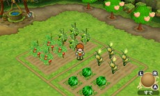 画像ギャラリー No.009のサムネイル画像 / 「ポポロクロイス牧場物語」夏の大地「ズズール地方」の人々を紹介。「マウリシオ牧場」でピエトロは牛のようなズーモに遭遇