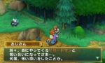 画像ギャラリー No.011のサムネイル画像 / 「ポポロクロイス牧場物語」の公式サイトで，バトルシステムと新たなクエストの情報が公開に