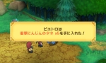 画像ギャラリー No.013のサムネイル画像 / 「ポポロクロイス牧場物語」の公式サイトで，バトルシステムと新たなクエストの情報が公開に