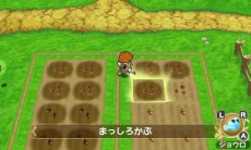 画像ギャラリー No.005のサムネイル画像 / 「ポポロクロイス牧場物語」野菜づくりや動物の世話など，冒険に役立つ牧場ライフの最新情報が公開