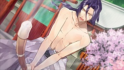 画像ギャラリー No.014のサムネイル画像 / 「男遊郭」のプロモーションムービーが公開。PS Vita版で追加された新要素や，艶っぽいキャラクターボイスに注目