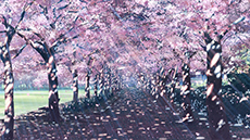 画像ギャラリー No.021のサムネイル画像 / PS Vita用恋愛アドベンチャー「ひとつ飛ばし恋愛V」が2015年1月29日に発売。攻略対象のヒロインは皆“身内の友達”