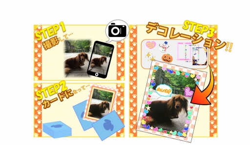 画像ギャラリー No.002のサムネイル画像 / 撮影した愛犬が主役になるスマホ向けゲーム「ワンコロ」,10月24日に配信