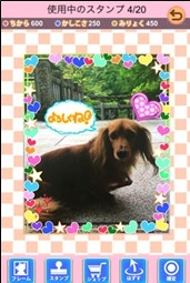 画像ギャラリー No.005のサムネイル画像 / 撮影した愛犬が主役になるスマホ向けゲーム「ワンコロ」,10月24日に配信