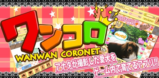 画像ギャラリー No.003のサムネイル画像 / 「ワンコロ」スマホ向けに配信開始。スタートダッシュキャンペーンを実施