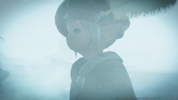 画像ギャラリー No.005のサムネイル画像 / ［E3 2015］「ファイナルファンタジーXIV：蒼天のイシュガルド」で登場する新装備などが確認できる最新画像を公開