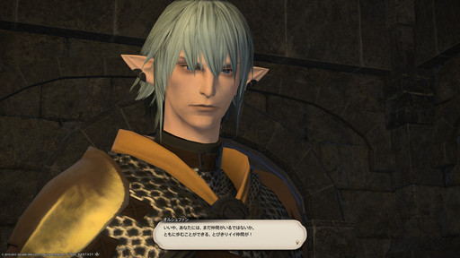 画像ギャラリー No.012のサムネイル画像 / 「FFXIV」,マフィア梶田の仰天イシュガルド:番外編「聖夜のエオ充にダラガブ落としたかったけどそれはともかく座談会」