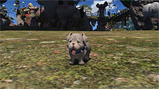 画像ギャラリー No.019のサムネイル画像 / 「FFXIV：蒼天のイシュガルド」，パート1の実装が迫るパッチ3.5「宿命の果て」の最新SSが公開。「牙狼＜GARO＞」コラボ装備のビジュアルも