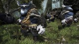ファイナルファンタジーXIV:蒼天のイシュガルド