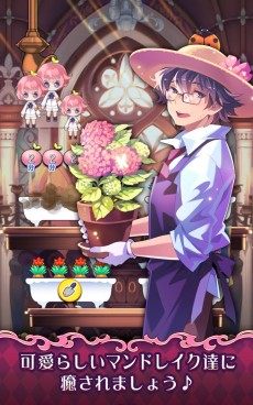 画像ギャラリー No.003のサムネイル画像 / 美少年なマンドレイクを育てるスマホ向けSLG「栽培少年」，事前登録が開始
