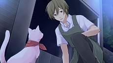 画像ギャラリー No.004のサムネイル画像 / 主人公は猫！？　全編フルボイスの女性向け恋愛アプリ「にゃんらぶ〜私の恋の見つけ方〜」の配信が本日スタート