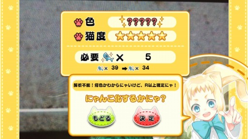 画像ギャラリー No.001のサムネイル画像 / 「猫耳さばいばー！」，久遠が仲間になる「にゃんこたちの初詣」を実施