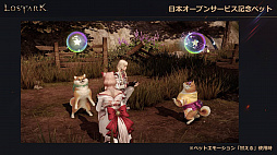 画像ギャラリー No.018のサムネイル画像 / 「LOST ARK」のオープンサービスは9月23日にスタート。ゲームパッドの正式対応や新クラス「ランスマスター」の実装時期も発表