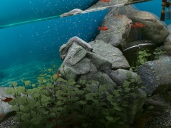 ハロー！Steam広場 第247回：ドラッグ＆ドロップで水槽を立ち上げられるシミュレーションゲーム「Biotope」。水質管理は割とガチめ