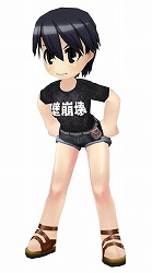 画像ギャラリー No.012のサムネイル画像 / 「メタルサーガ」，イベント“偉大な壁を乗り越えよ！”を開催