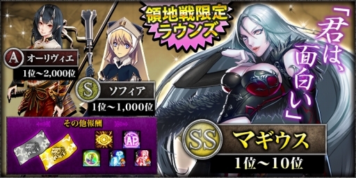 画像ギャラリー No.012のサムネイル画像 / 「幻想のエルドラド」,サービス開始を記念した抱き枕プレゼント企画を実施