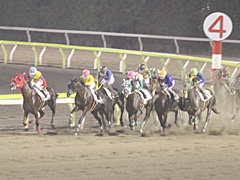 東京シティ競馬で「Winning Post」の冠レースが開催。会場内には特設ブースも設置され，豪華賞品が当たる抽選会も