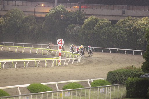 画像ギャラリー No.008のサムネイル画像 / 東京シティ競馬で「Winning Post」の冠レースが開催。会場内には特設ブースも設置され，豪華賞品が当たる抽選会も