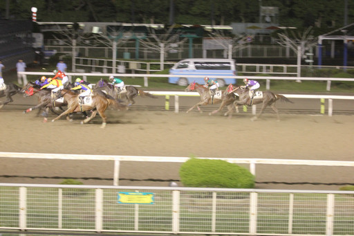 画像ギャラリー No.012のサムネイル画像 / 東京シティ競馬で「Winning Post」の冠レースが開催。会場内には特設ブースも設置され，豪華賞品が当たる抽選会も