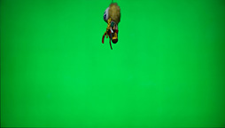 画像ギャラリー No.003のサムネイル画像 / 西川善司の「試験に出るゲームグラフィックス」(10)「ストリートファイターV」における高密度なノンフォトリアル表現,そのレシピを探る・中編
