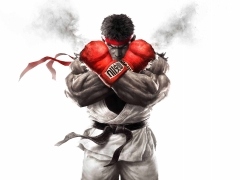カプコンの作品が最大60％OFFで購入できる「CAPCOM SUMMER SALE！」開催。PS4用ソフト「ストリートファイターV」など，計25作品が対象