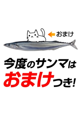 開けサンマ〜サンマを焼いてニャンコを育てよう