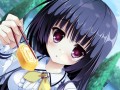 PS Vita向け「Friend to Lover 〜フレラバ〜」が2015年3月26日に発売。彼女に選んだヒロインと，思う存分イチャイチャできる恋愛アドベンチャー