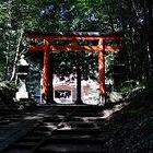 画像ギャラリー No.009のサムネイル画像 / 「シムシティ ビルドイット」,“サボテン・キャニオン”などの新マップが実装