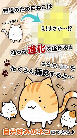 これはにゃんこですか？