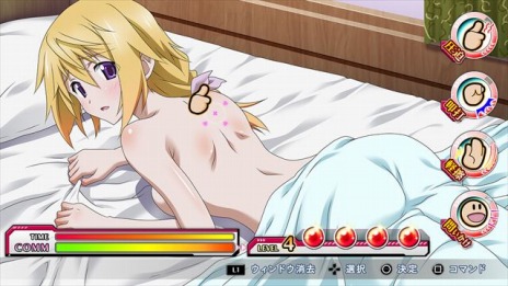 画像ギャラリー No.022のサムネイル画像 / 「IS＜インフィニット・ストラトス＞2 ラブ アンド パージ」の発売日が7月30日に決定。限定版の特典イラストも明らかに