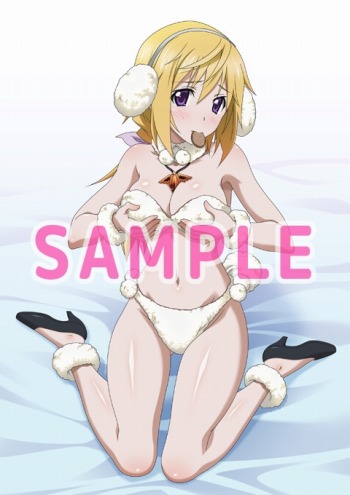 画像ギャラリー No.001のサムネイル画像 / 「IS＜インフィニット・ストラトス＞2 ラブ アンド パージ」店舗別特典イラストを公開
