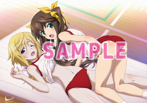 画像ギャラリー No.002のサムネイル画像 / 「IS＜インフィニット・ストラトス＞2 ラブ アンド パージ」店舗別特典イラストを公開