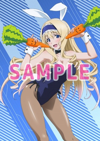 画像ギャラリー No.003のサムネイル画像 / 「IS＜インフィニット・ストラトス＞2 ラブ アンド パージ」店舗別特典イラストを公開